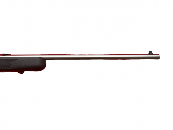 SAVAGE C. 22 LR M. 64 SEMI SINT / INOX - 21102 - SAVAGE