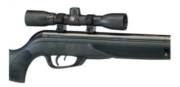 GAMO 5,5 WILDCAT WHISPER IGT C/ MIRA - GAMO