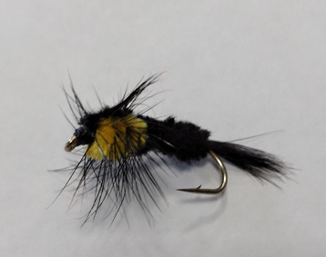 MOSCA YELLOW MONTANA - N2067 - M MANCINI