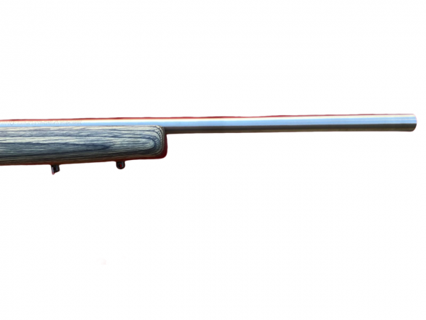 MARLIN C. 17 HMR XT-17VSLB LAM / INOX CARG 4 Y 7 TIROS - MARLIN