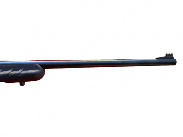 RUGER C. 17 HMR M. AMERICAN SINTETICO - 15123 - RUGER