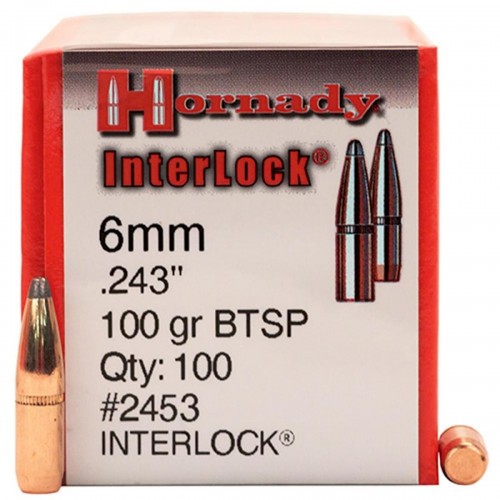 PUNTA C. 243 HORNADY 100 G BTSP x 100 - 2453 - HORNADY