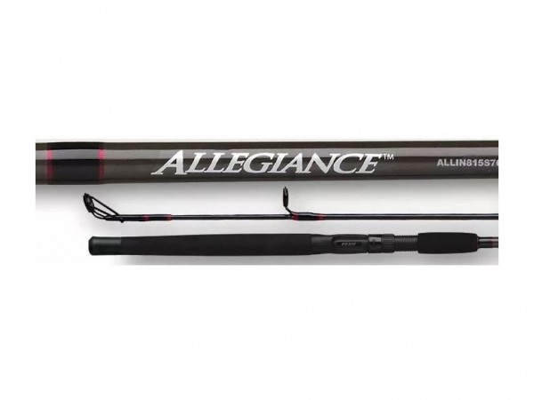 CAÑA HUECA PENN ALLEGIANCE 15/30 LBS 2,10 MTS 1T - 3021062090000 - PENN