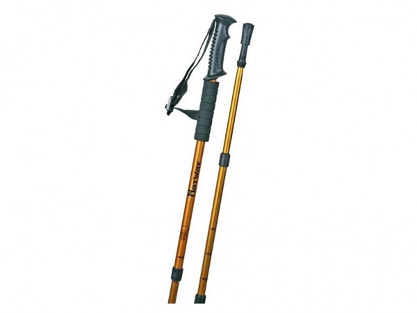 BASTON DE TREK. NATWAY M. ERNE 01 - C/U - NATWAY