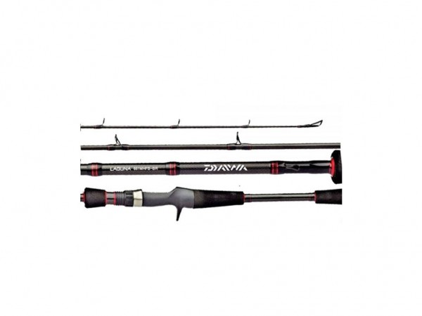 CAÑA HUECA DAIWA LAGUNA 6" 2T 12/25 LBS H - LAG602HFB-AR - DAIWA