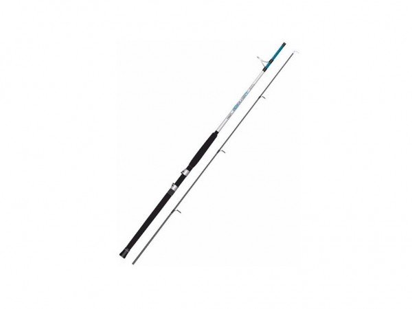 CAÑA HUECA MASTERGUIL SILVER FISH 2,10 - MASTERGUIL