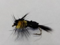 MOSCA YELLOW MONTANA - N2067