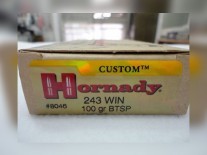 MUNICION C. 243 HORNADY 100GR BTSP - 80460
