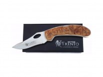 CORT TRENTO HUNTER 120 - 131574