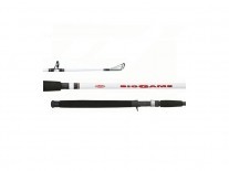 CAÑA HUECA BERKLEY BIG GAME PRWBGC661MH 12/30LBS 1T