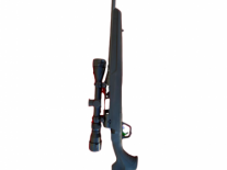 SAVAGE C. 308 M. AXIS XP 22