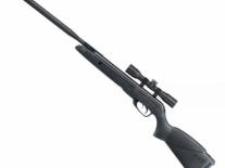 GAMO 5,5 WILDCAT WHISPER IGT C/ MIRA