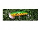 SEÑUELO WATER BASS11 67MM 12GR - WATERDOG