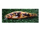 SEÑUELO RAPALA SSDR 16 - 120216 / 119278 - RAPALA