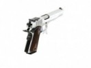 TANFOGLIO C. 45 WITNESS 1911 CUSTOM INOXIDABLE - 3970 - TANFOGLIO