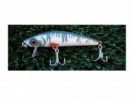 SEÑUELO STRIKE PRO MG-016 9CM 17GR - 119034/5/42/6/7/9 - STRIKE PRO