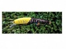 SEÑUELO ALFER BANANA BB - ALFER