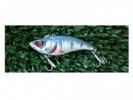 SEÑUELO STRIKE PRO EG-128C FLAP JACK 7,5 CM 21,8 GR - STRIKE PRO