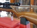 MARLIN C. 22 LR M. 70 MAD / PAVON C/ TASCO 4 x 40 - MARLIN