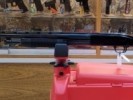 MAVERICK C. 12 M. 88 USADA 71 CM - MAVERICK
