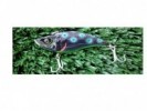 SEÑUELO STRIKE PRO EG-128C FLAP JACK 7,5 CM 21,8 GR - STRIKE PRO
