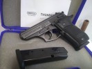 BERSA C. 380 TH PLUS PAVON - OTP - BERSA