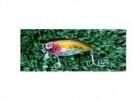 SEÑUELO STRIKE PRO EG-185 FLAOT SPARROW 7CM 16,4GR - 119129/30/2 - STRIKE PRO