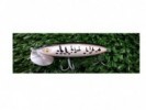 SEÑUELO WATER BASS11 67MM 12GR - WATERDOG