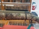 RUGER C. 30-06 AMERICAN CAMO 55,8 CM C/ FRENO Y RIEL - RUGER