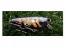 SEÑUELO ALFER MOJARRA BAIT S10 PALETA CORTA - ALFER