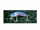 SEÑUELO STRIKE PRO EG-112B HUNCHBACK 8CM 18GR - 118901/2/3/4 - STRIKE PRO